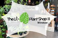 Lil Plant Shop II